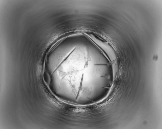 X0000099430347200805161115