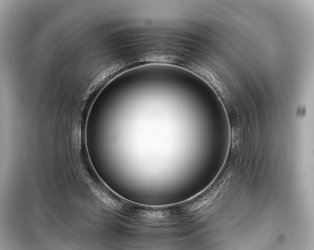X0000099430349200805161115
