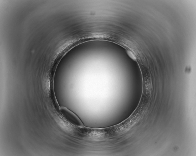 X0000099430350200805161115