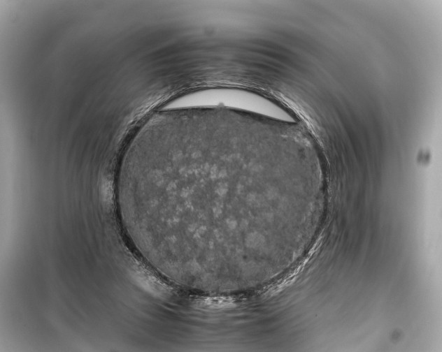 X0000099430353200805161115
