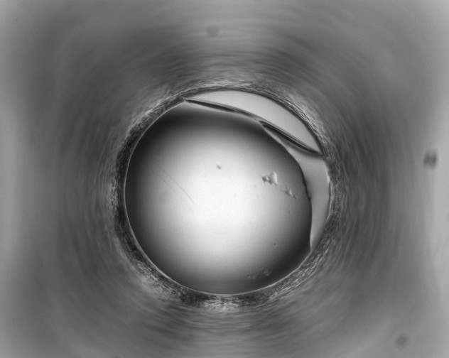 X0000099430354200805161116