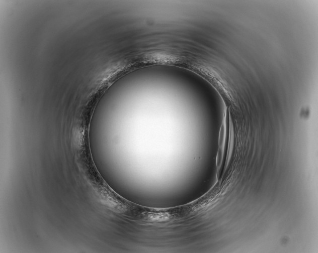 X0000099430355200805161116