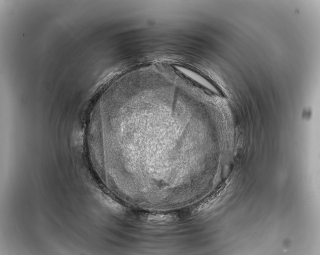 X0000099430357200805161116