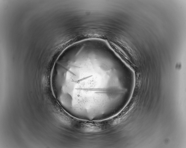 X0000099430359200805161116
