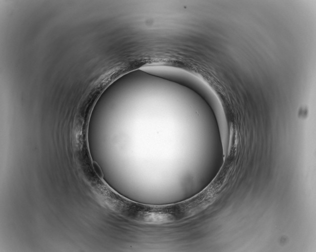 X0000099430360200805161116