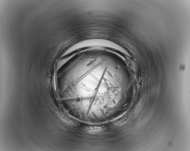X0000099430361200805161116