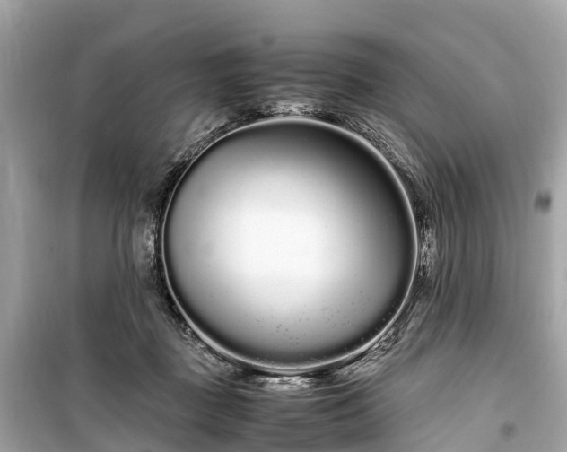 X0000099430363200805161116