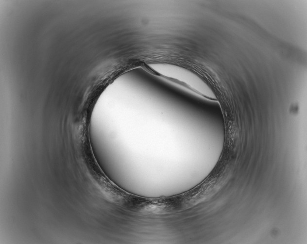 X0000099430364200805161116