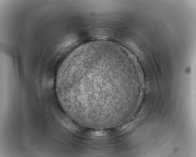 X0000099430365200805161116