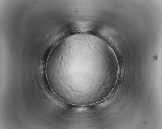 X0000099430366200805161116