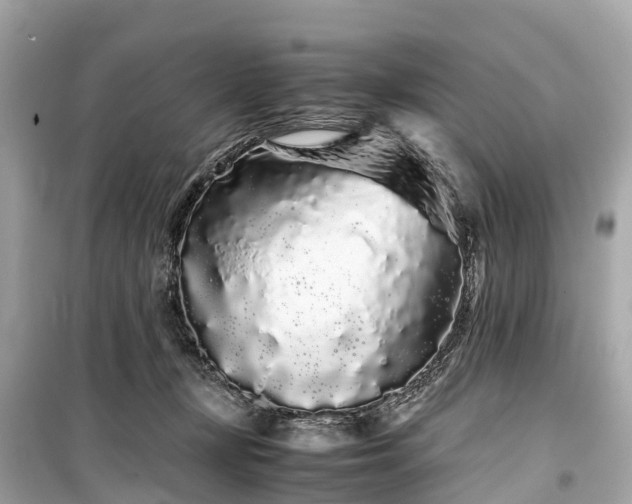 X0000099430367200805161116