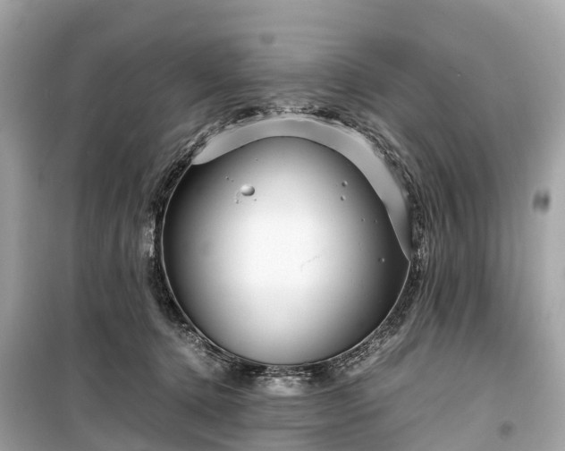 X0000099430368200805161116