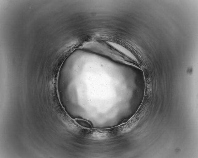 X0000099430369200805161116