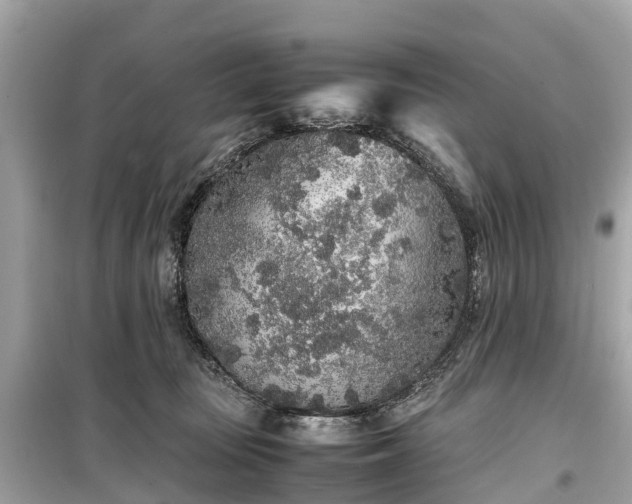 X0000099430371200805161116