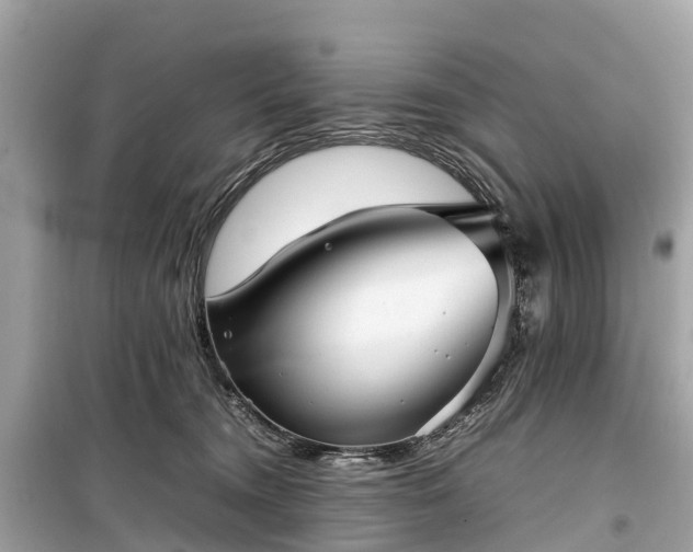 X0000099430372200805161116