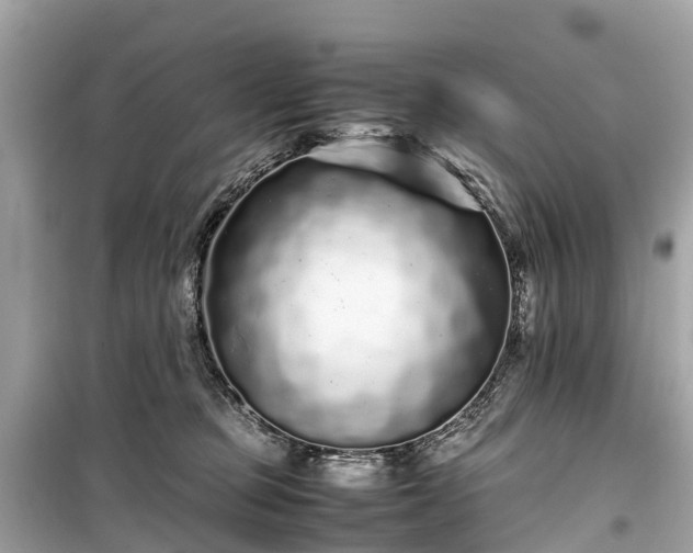 X0000099430373200805161116