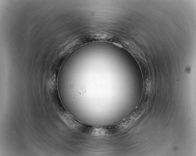 X0000099430376200805161116