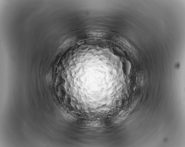 X0000099430377200805161116