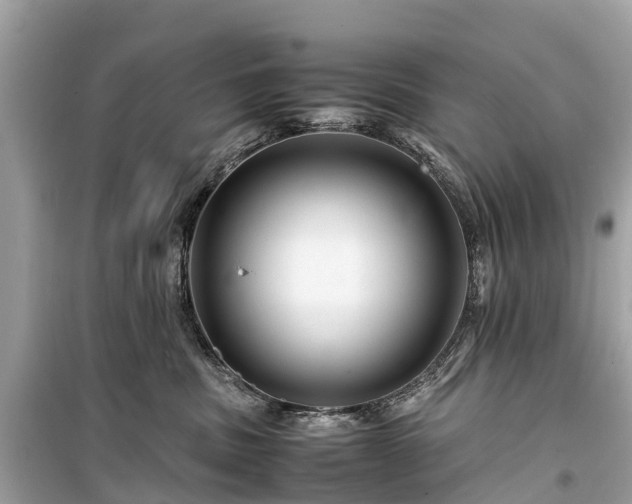 X0000099430379200805161116