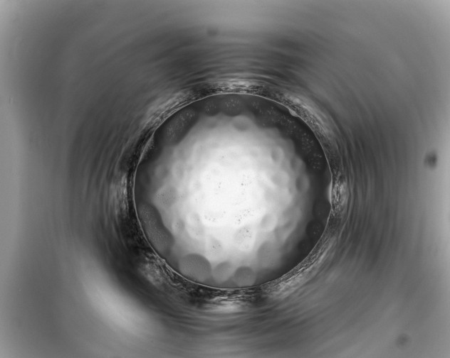 X0000099430381200805161116