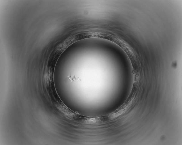 X0000099430382200805161116