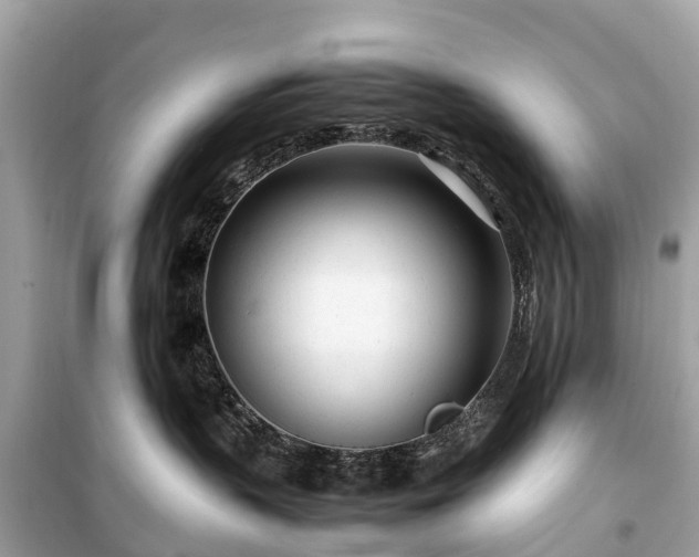 X0000099430383200805161116