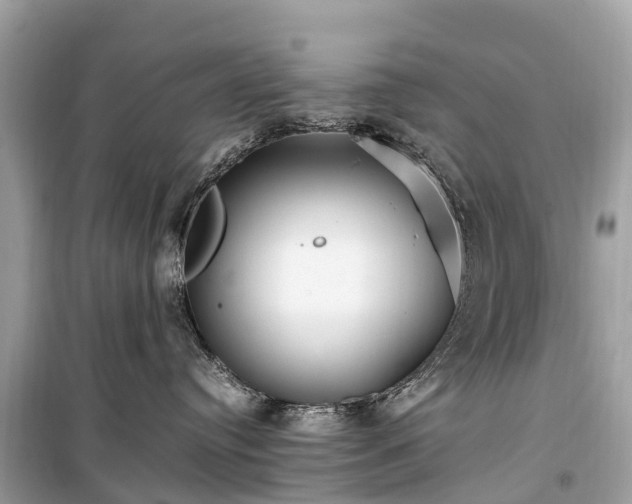 X0000099430384200805161116