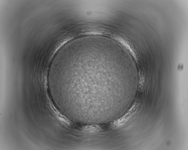X0000099430386200805161115