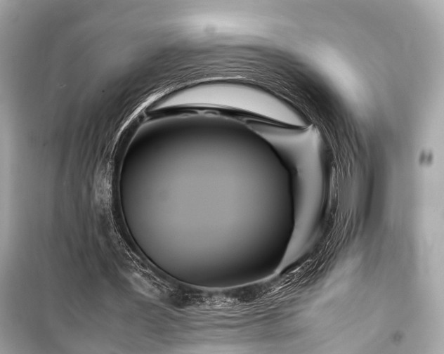 X0000099430387200805161115