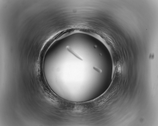 X0000099430388200805161115