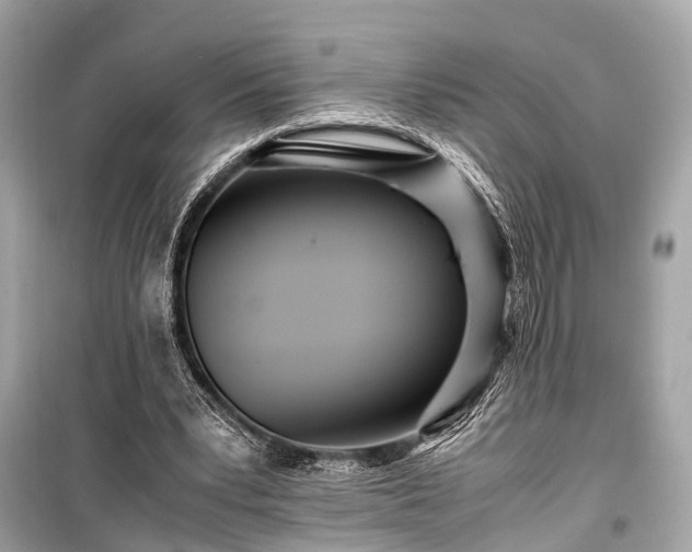 X0000099430391200805161115