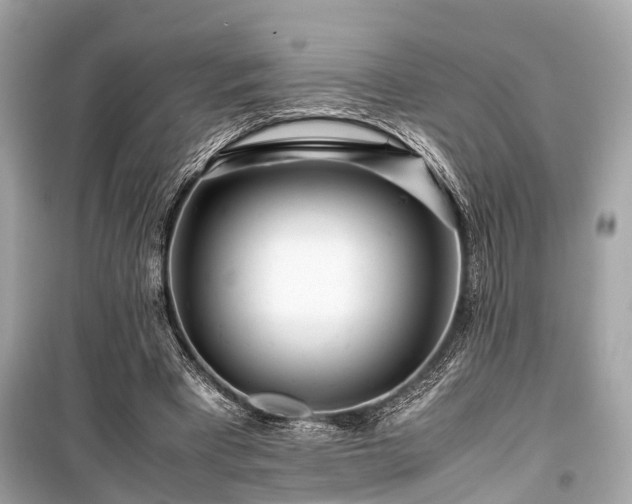 X0000099430393200805161115