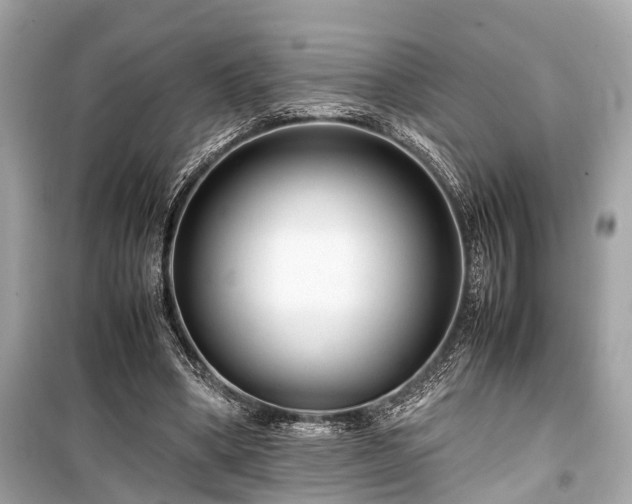 X0000099430394200805161115
