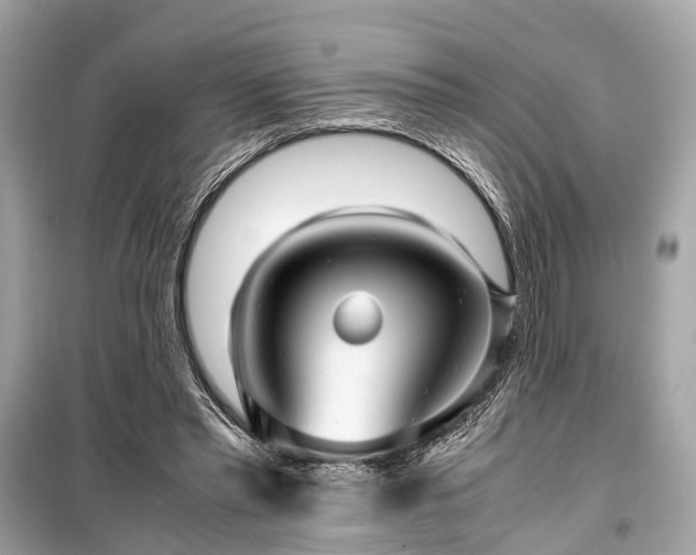 X0000099430397200805161115