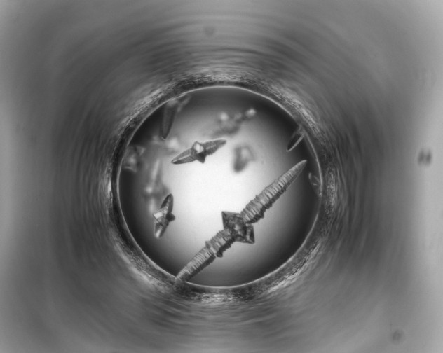 X0000099430398200805161115