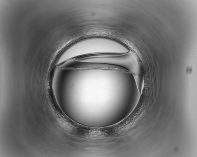 X0000099430399200805161115