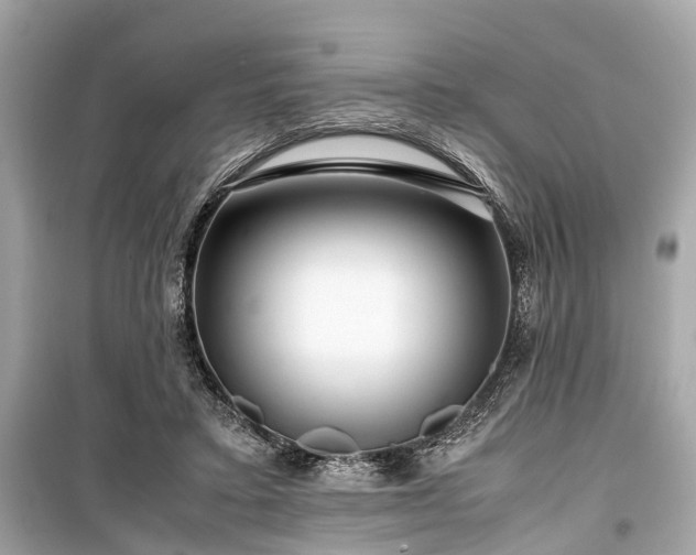 X0000099430403200805161115