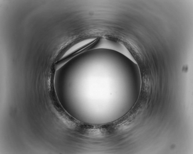 X0000099430404200805161115