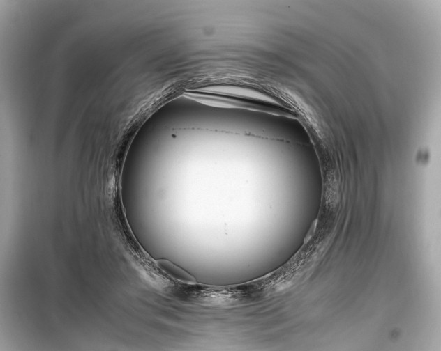 X0000099430405200805161115