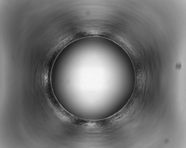 X0000099430406200805161115