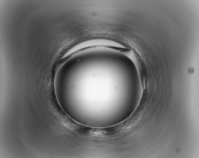 X0000099430407200805161115