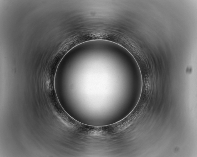X0000099430408200805161115