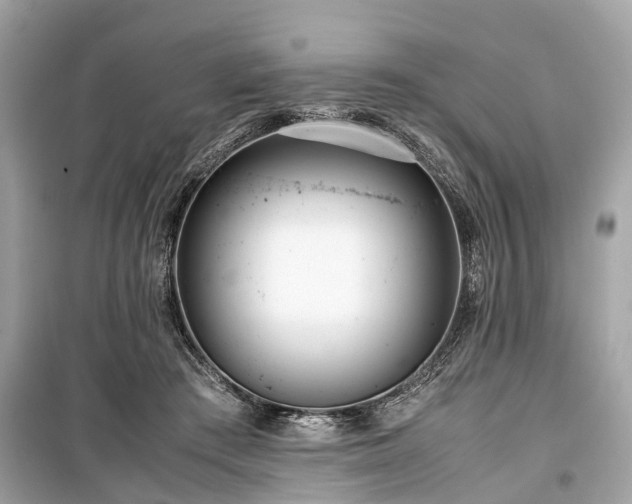 X0000099430409200805161115