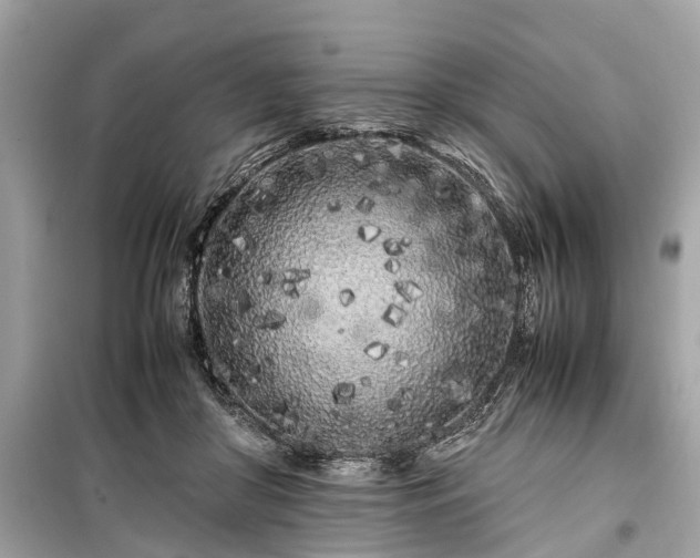 X0000099430410200805161115
