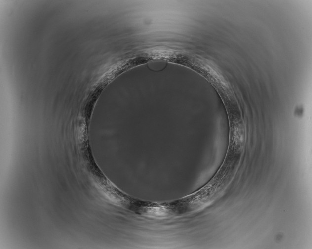 X0000099430411200805161115