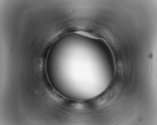 X0000099430412200805161115