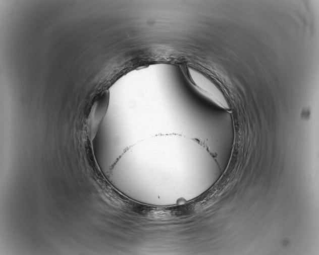 X0000099430413200805161115