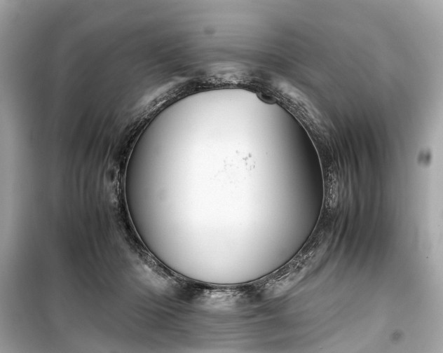 X0000099430414200805161115