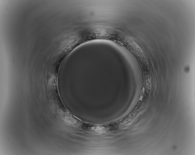 X0000099430419200805161115