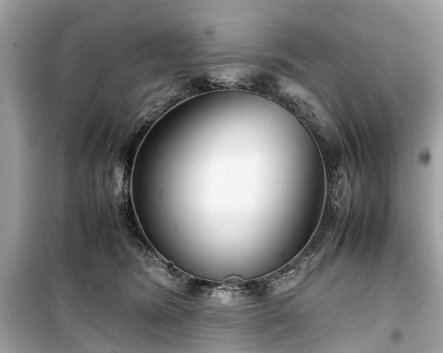 X0000099430420200805161115